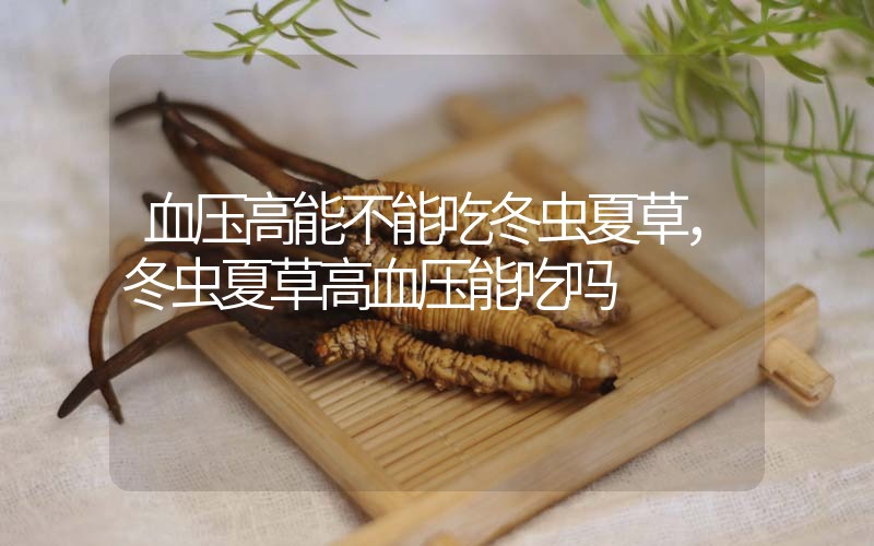 血壓高能不能吃冬蟲(chóng)夏草，冬蟲(chóng)夏草高血壓能吃嗎？