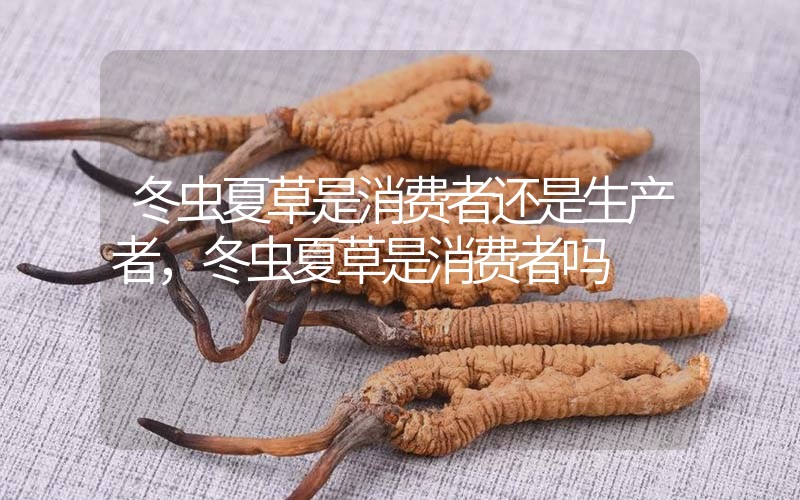 貧血吃冬蟲夏草有效果嗎，貧血虛弱者可以用冬蟲夏草嗎？