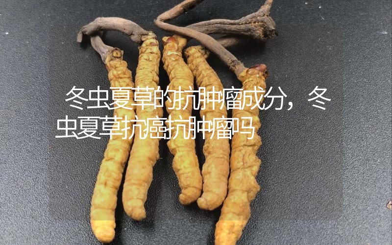 冬蟲夏草的抗腫瘤成分，冬蟲夏草抗癌抗腫瘤嗎？