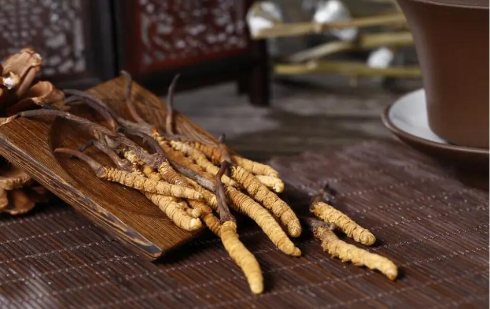 冬蟲夏草怎么選擇，冬蟲夏草選怎么樣的最好?