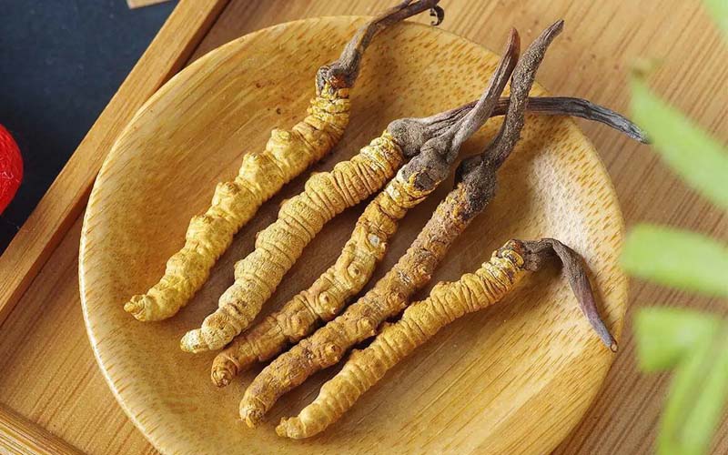 冬蟲(chóng)夏草作用可以調(diào)節(jié)身體肝臟功能嗎？