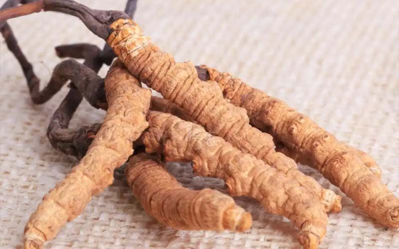 青海冬蟲夏草產(chǎn)地分布?