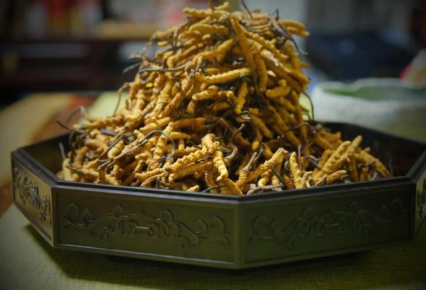 <a href=http://www.gzpim.com/ target=_blank class=infotextkey>冬蟲夏草</a>