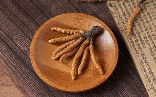 什么叫真正純冬蟲夏草粉？