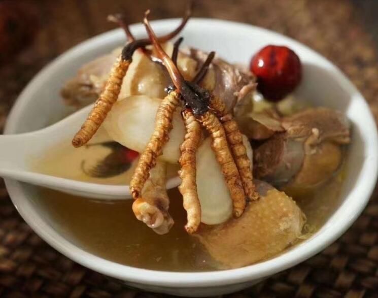 冬蟲(chóng)夏草可以空腹吃嗎？