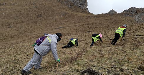 <a href=http://www.gzpim.com/sdph/zf/ target=_blank class=infotextkey>珍峰冬蟲(chóng)夏草</a>：源自世界屋脊的養(yǎng)生瑰寶