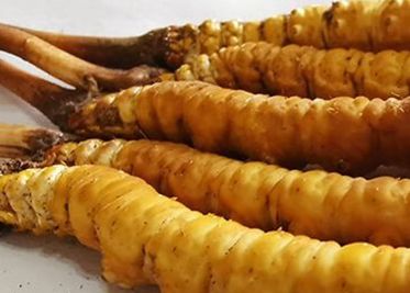 <a href=http://www.gzpim.com/sdph/zf/ target=_blank class=infotextkey>珍峰冬蟲夏草</a>主要的銷售模式