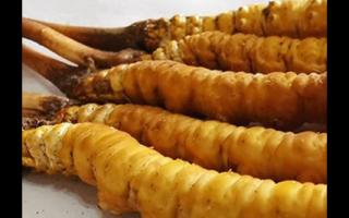 珍峰冬蟲夏草主要的銷售模式