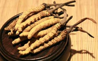 冬蟲夏草的價格一克：為何如此昂貴？