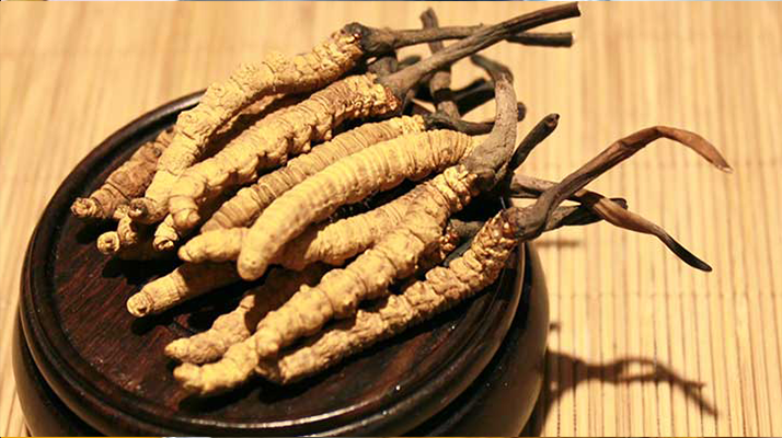 未來(lái)冬蟲(chóng)夏草會(huì)漲價(jià)嗎？