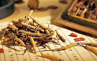 同仁堂健康冬蟲夏草：傳承品質(zhì)，饋贈健康