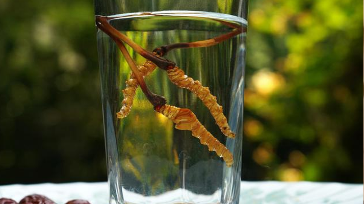 <a href=http://www.gzpim.com/xinxian/ target=_blank class=infotextkey>鮮冬蟲夏草</a>怎么泡好吃？這些配方讓滋補更有滋味