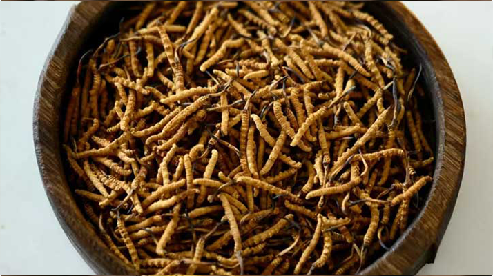 <a href=http://www.gzpim.com/jiage/ target=_blank class=infotextkey>冬蟲夏草價(jià)格</a>探秘:多因素交織下的市場(chǎng)行情