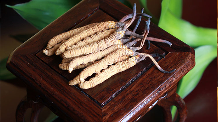 怎樣鑒別<a href=http://www.gzpim.com/tag/6.html target=_blank class=infotextkey>冬蟲夏草的產(chǎn)地</a>