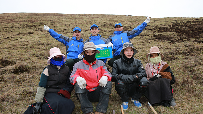 西藏冬蟲(chóng)夏草的主要產(chǎn)地：品質(zhì)與地域特色詳解