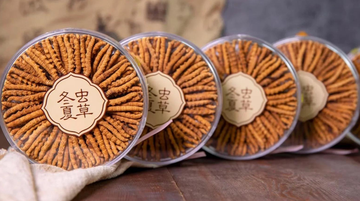 把握黃金時段！冬蟲夏草在這些時候吃效果更佳