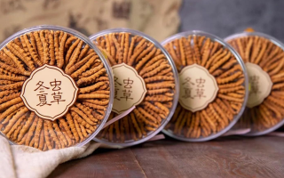 把握黃金時段！冬蟲夏草在這些時候吃效果更佳