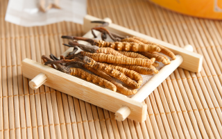 冬蟲夏草怎么燉比較好？解鎖營(yíng)養(yǎng)不流失的燉煮指南