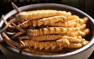 冬蟲夏草效果好不好用？科學(xué)與實(shí)踐視角下的全面解析