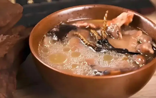 冬蟲夏草治什么病效果好？厘清輔助調(diào)理邊界與適用場(chǎng)景