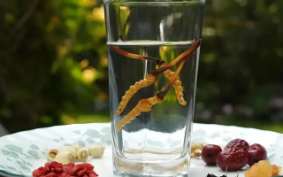 人參配蟲草泡酒，泡多久才好喝？咱跟你說實(shí)在的