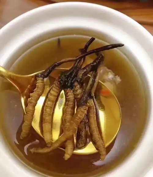 冰糖燉冬蟲夏草的做法，有什么功效?