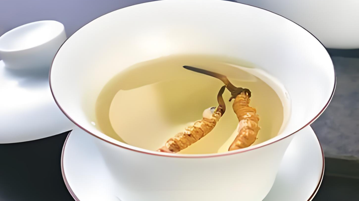 鮮冬蟲夏草可以煮水喝嗎？有什么功效和作用？