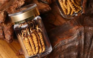 冬蟲夏草養(yǎng)生指南：分清滋補(bǔ)功效，避開養(yǎng)生誤區(qū)