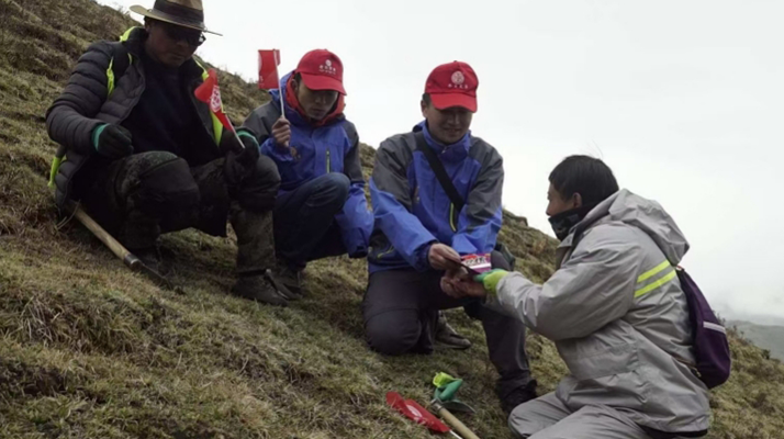 東強(qiáng)堂冬蟲夏草的采挖時間和注意事項