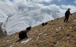 個(gè)人采集證 + 企業(yè)收購許可的申請(qǐng)材料清單與辦理時(shí)間表