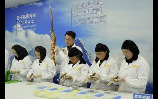 新挖的冬蟲(chóng)夏草怎么處理 清理操作流程-西藏那曲蟲(chóng)草網(wǎng)