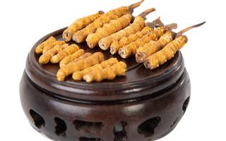 冬蟲夏草的頭期斷草好嗎？有沒有營(yíng)養(yǎng)價(jià)值？