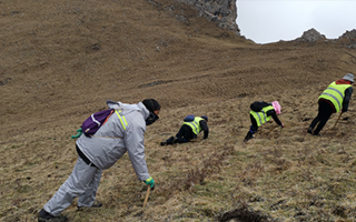非法采挖蟲草的常見誤區(qū)、合規(guī)清單、采集證辦理流程與價(jià)值鑒定要點(diǎn)