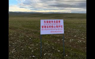 高原之上，蟲草共生；守護生態(tài)，東強堂與你同行