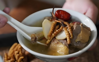  冬蟲夏草和什么食材搭配煲湯比較好？