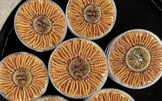 100塊錢一盒冬蟲夏草能買嗎？行業(yè)權(quán)威拆解+避坑指南