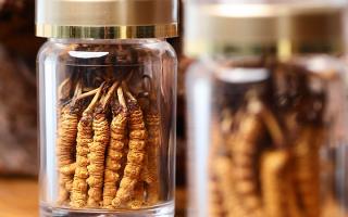 正宗冬蟲夏草哪家便宜？——教你選對(duì)低價(jià)正品渠道