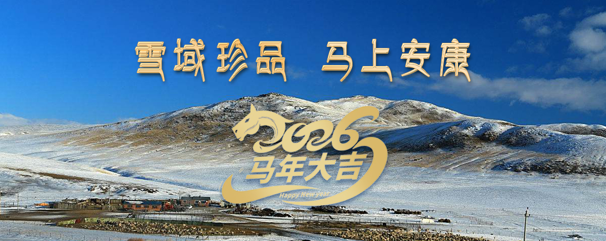 雪域高原藏珍品，2026愿您馬上安康——來自西藏那曲蟲草網(wǎng)的新春祝福