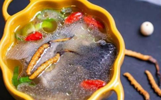 那曲冬蟲夏草辨別全指南｜教你避開市場陷阱，認(rèn)準(zhǔn)正宗珍品